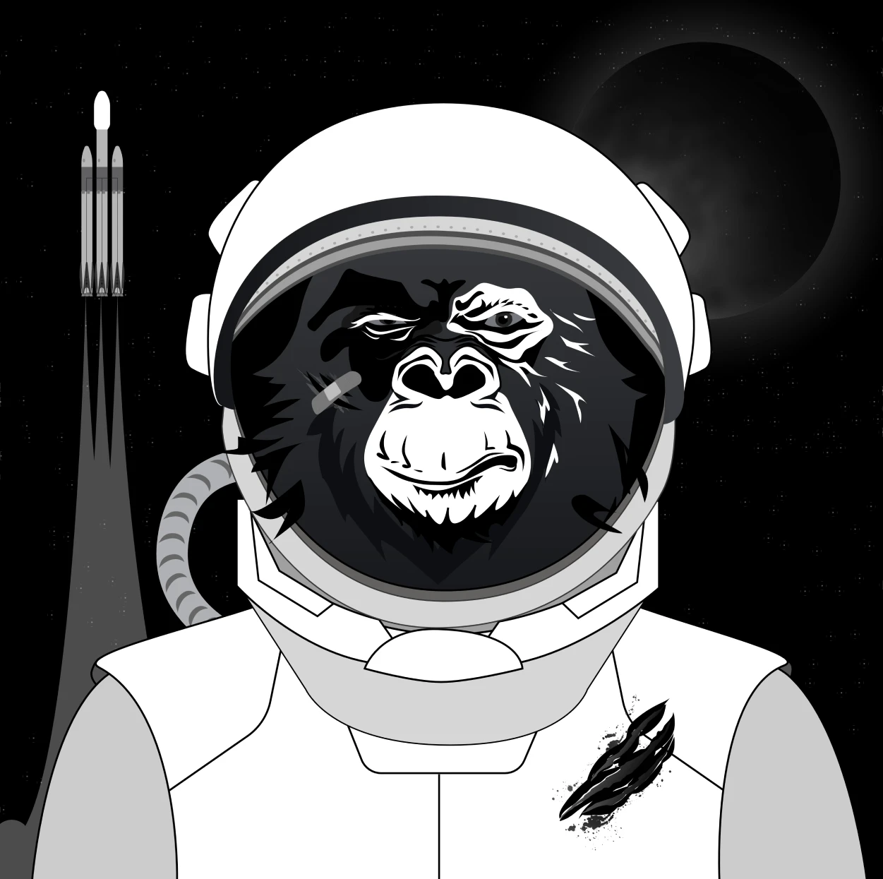 space monkey wallpaper